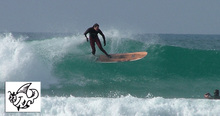 www.surfaris.co.uk