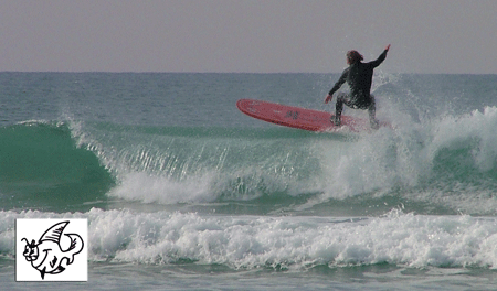 www.wannasurf.com/index.htm