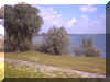 De Bijland
