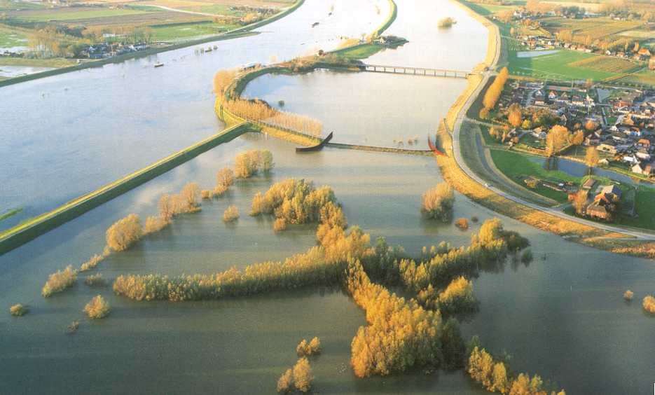 Groene rivier Pannerden bij hoogwater