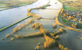 Groene rivier Pannerden bij hoogwater