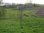 Wallen Fort de Sterrenschans bij Doornenburg