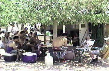 Misting Tree loading - 35 kb