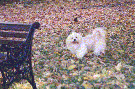 /user/S_but02.gif