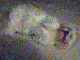 /user/S_but10.gif