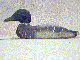 Decoy Page