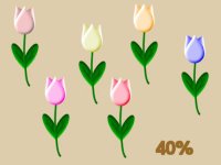 tulips.zip