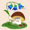 Forest Scene