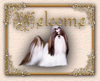 Welcome To Rush'n Shih Tzu!