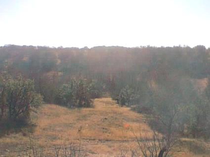 country skyline
