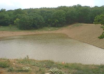 pond view