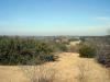 country skyline