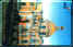 wpe3D.jpg (9214 ������)