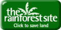 Save the Rainforests with One Click