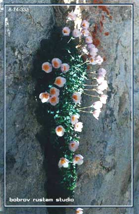 fv02