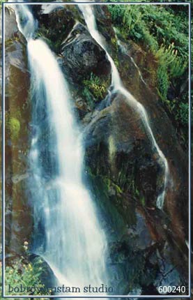 wv04