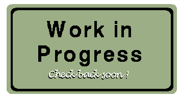 Work In Progress