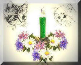 cat memorial