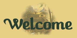 Ark