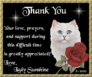 ladysunshine