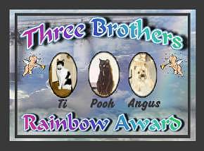 three brothers