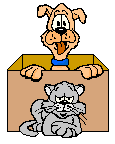 cat dog