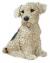 airedale