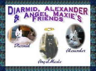 friends