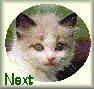 next