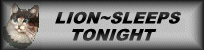 lionsleepstonight