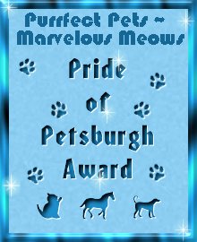 pride petsburgh