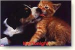 dog~cat