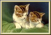 twins'></CENTER><BR><BR>

<table border=