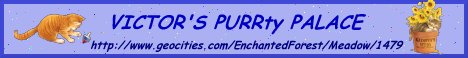 victorbanner