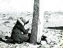menhir de Gleibat Ensur