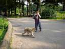 MonkeyPark.JPG