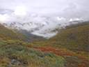 Snowroad.jpg