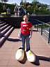 Woodenshoe2.JPG