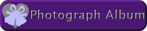Wedding Photograph Album