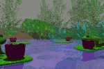 Feelin' Froggy? Jump!