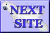 NEXT SITE