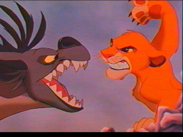 Simba Fighting Shenzi
