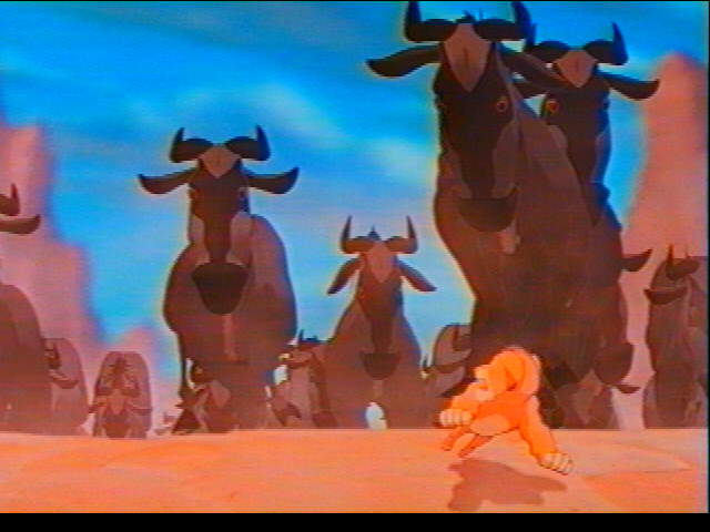 Stampede!!!!
