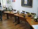 Laborator decorat :)