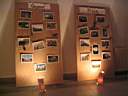 Expozitie