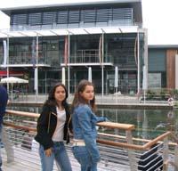 Shopping