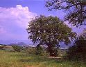 I 2373