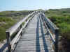 finsbdwalk.jpg (76787 bytes)