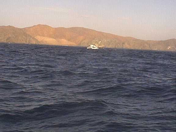 Off Baja