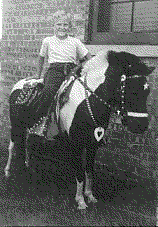 Bill Wright and his favorite pony